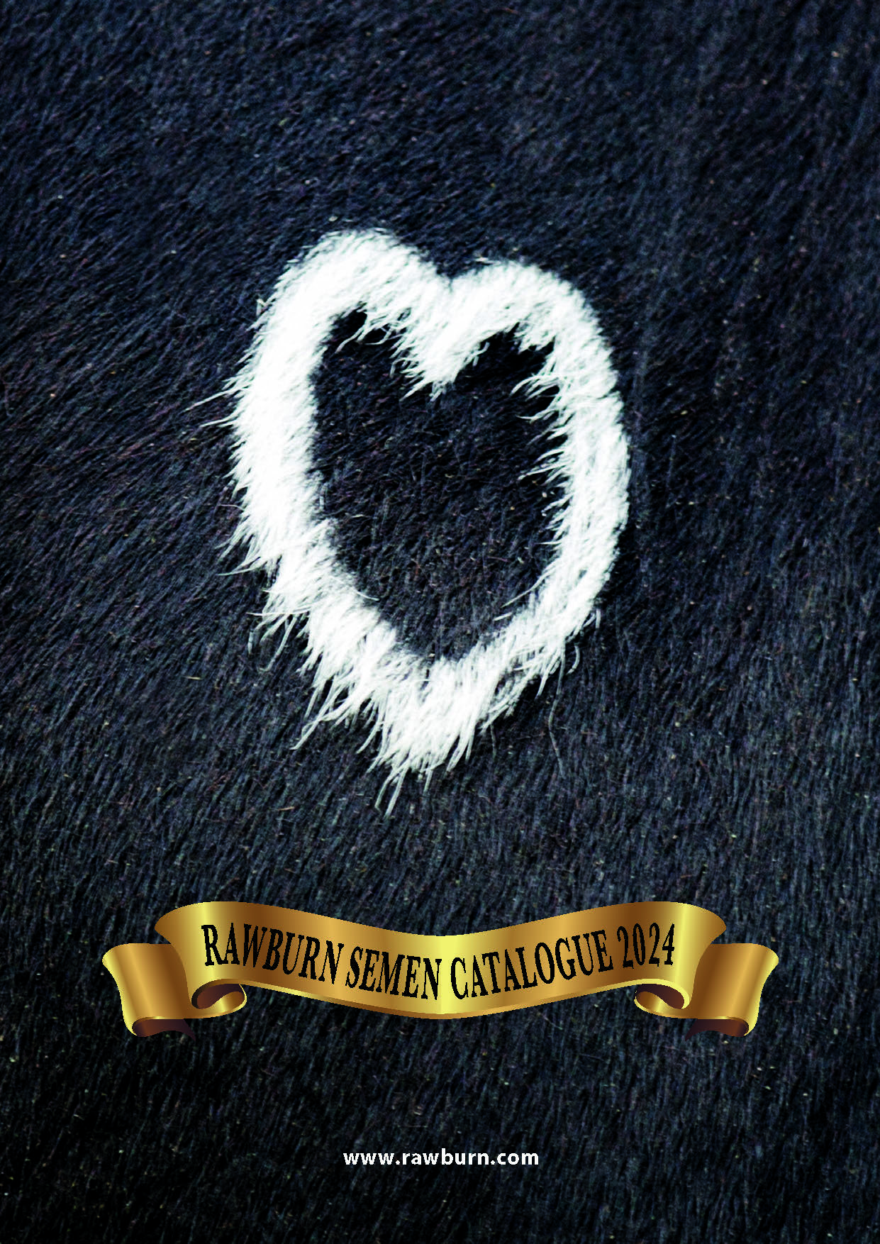 Download the Rawburn Semen Catalogue 2024